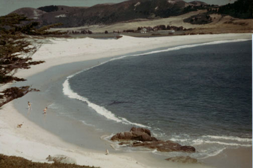 Carmel River Beach