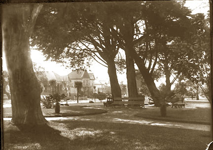 Early Alameda by E.A. Cohen 2/25/1904 Photo Accession CV # 77-003-0117