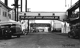 Ocean View Avenue, looking east