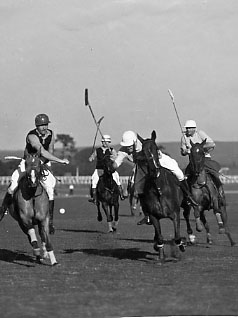 Polo at Del Monte 8x10 print