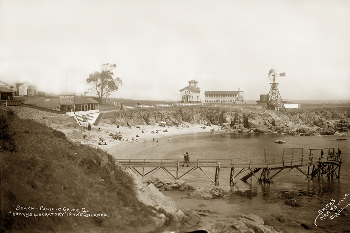 Loves Point 1903